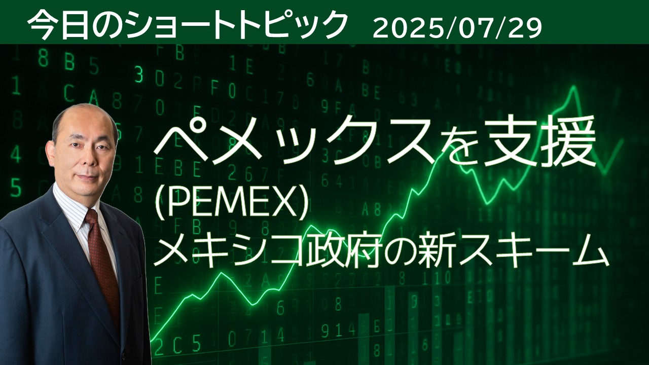 ybNX(PEMEX)x LVR{̐VXL[