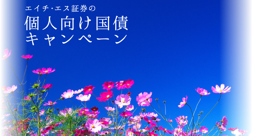 �l�������L�����y�[��