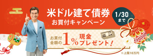 �ăh�������t�z�P%�v���[���g�L�����y�[��