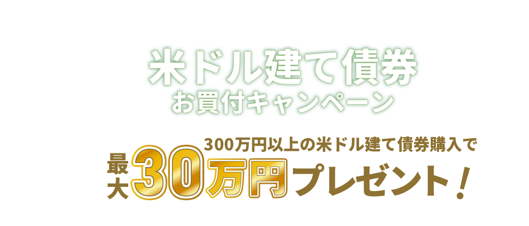 �ăh�����č������t�L�����y�[��300���~�ȏ�̕ăh�����č��w���ŁA�ő�30���~�v���[���g