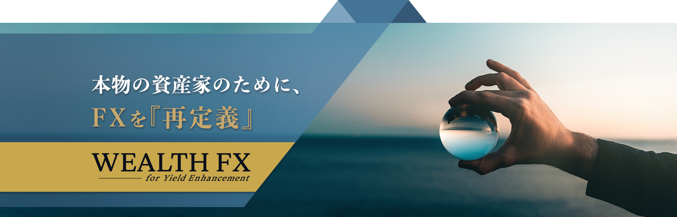 WEALTH FX�i�X���O���ב֏؋�������j