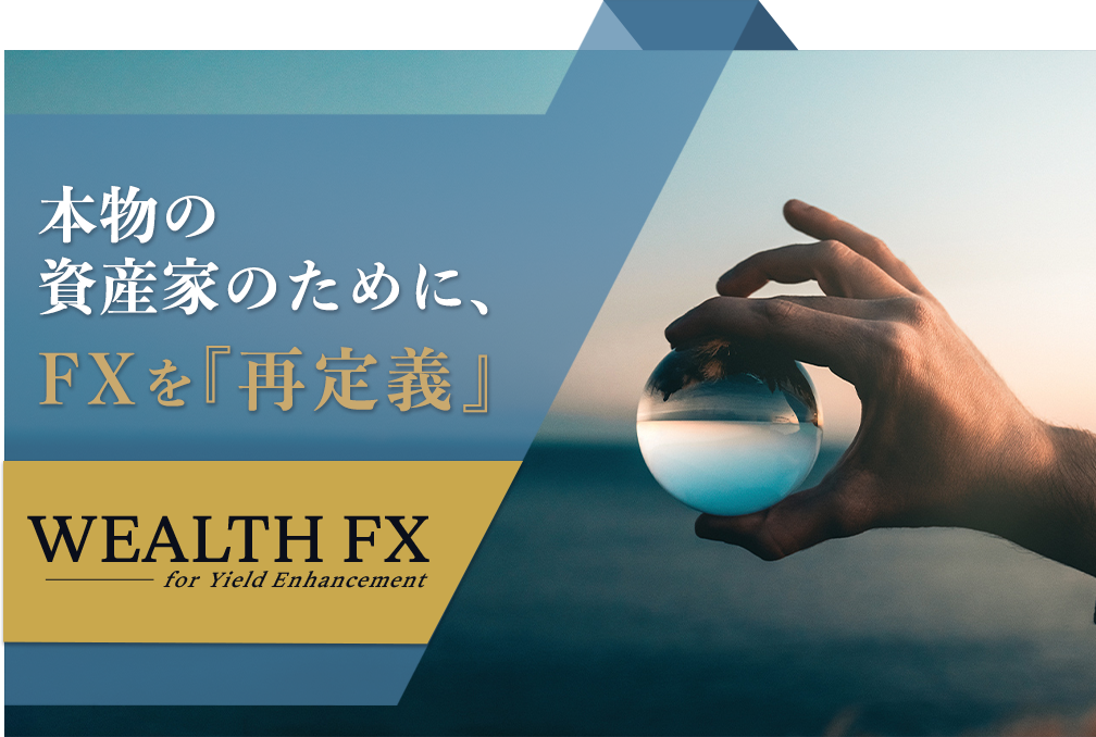 WEALTH FX�i�X���O���ב֏؋�������j